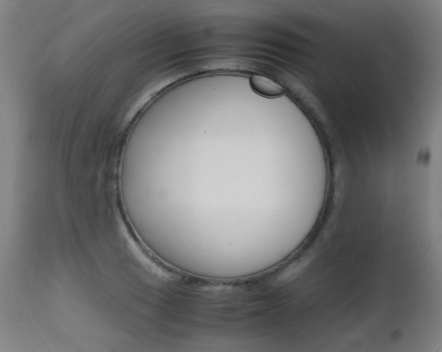 X0000112971033200908270938