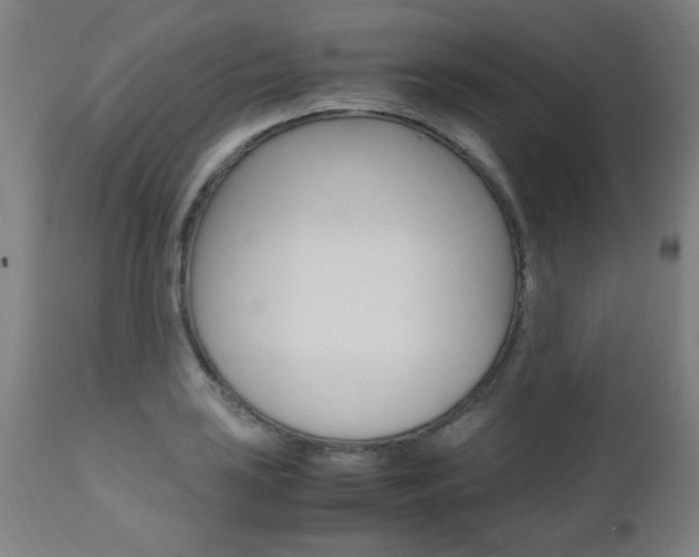 X0000112971035200908270938