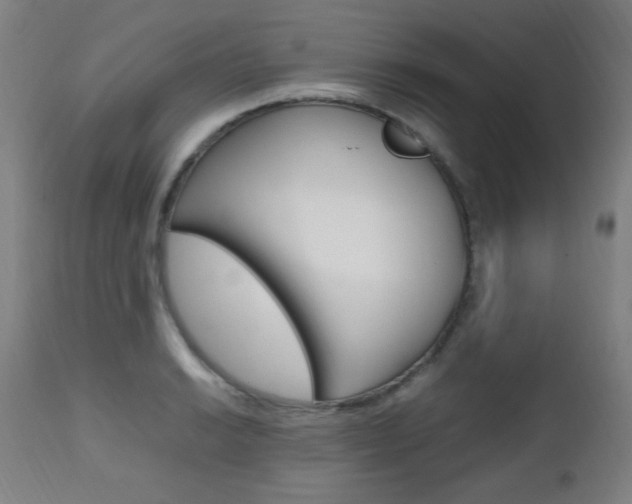 X0000112971038200908270938