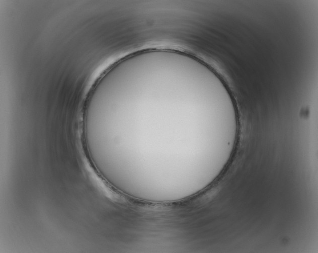 X0000112971040200908270938