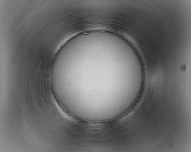 X0000112971041200908270938