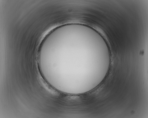 X0000112971043200908270938