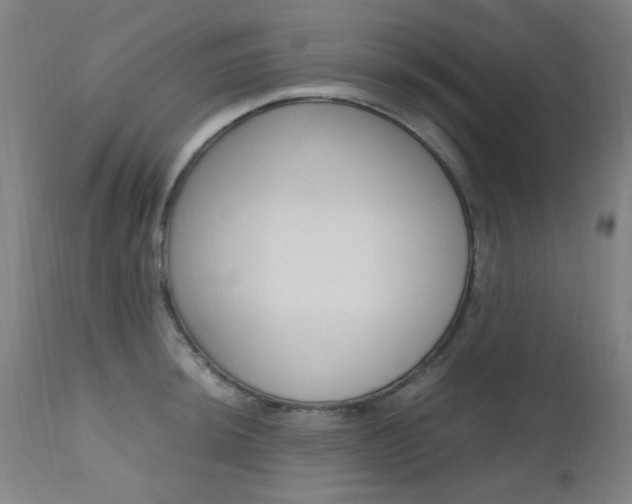 X0000112971044200908270938