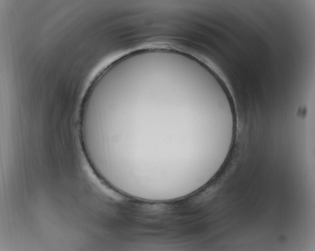 X0000112971045200908270938