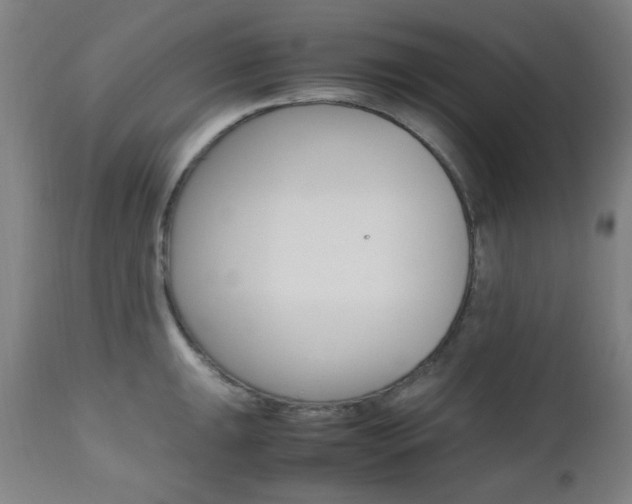 X0000112971047200908270938