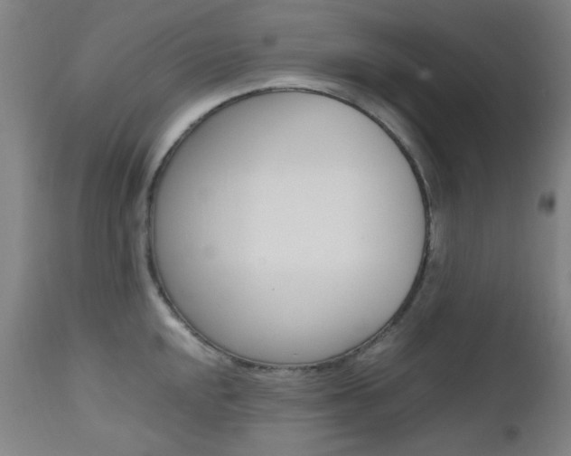 X0000112971048200908270938