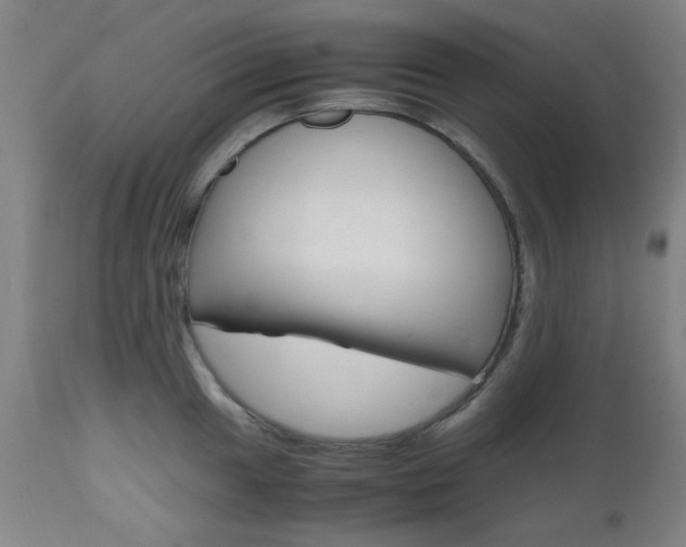 X0000112971049200908270939