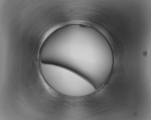 X0000112971050200908270939