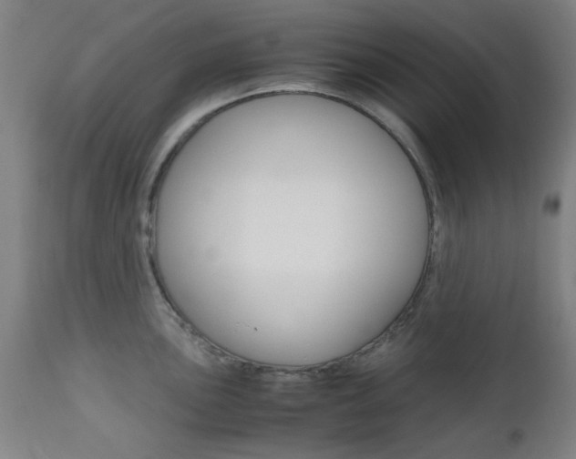X0000112971051200908270939