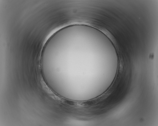 X0000112971052200908270939