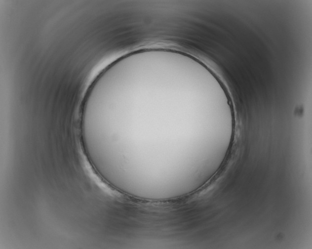 X0000112971053200908270939