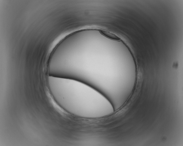 X0000112971054200908270939