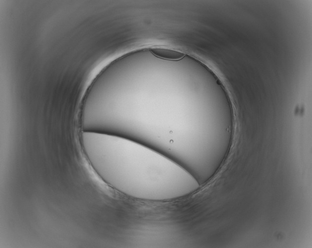 X0000112971056200908270939