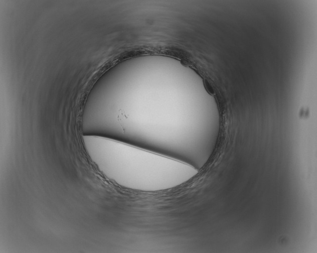 X0000112971057200908270938