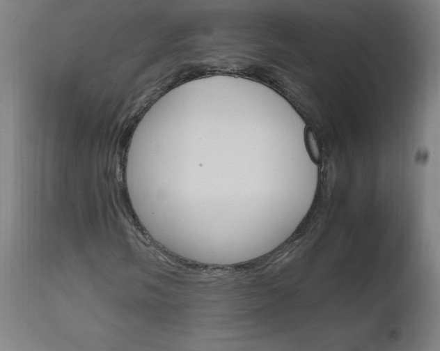 X0000112971058200908270938