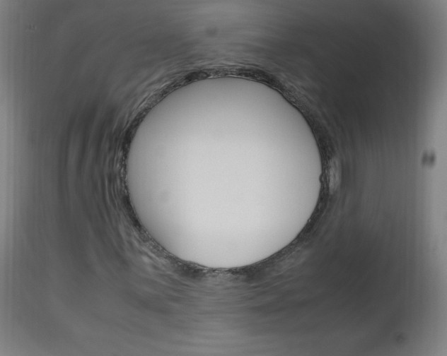 X0000112971059200908270938