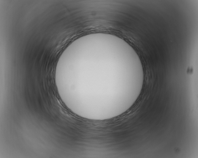 X0000112971060200908270938