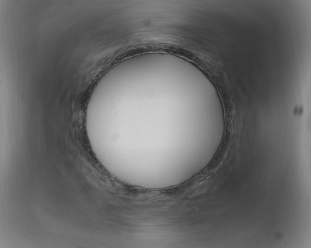 X0000112971061200908270938