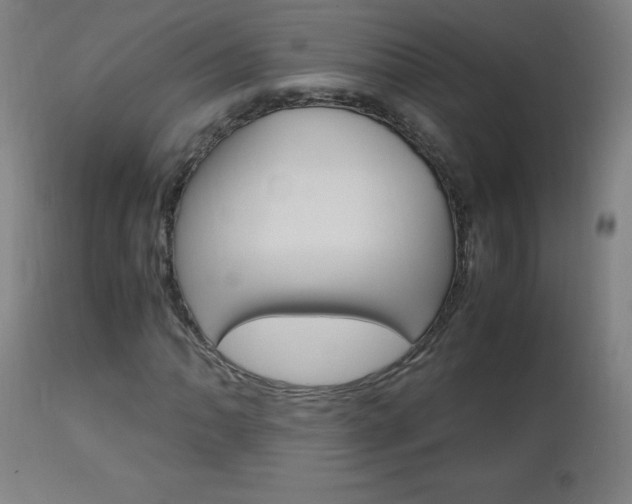 X0000112971062200908270938