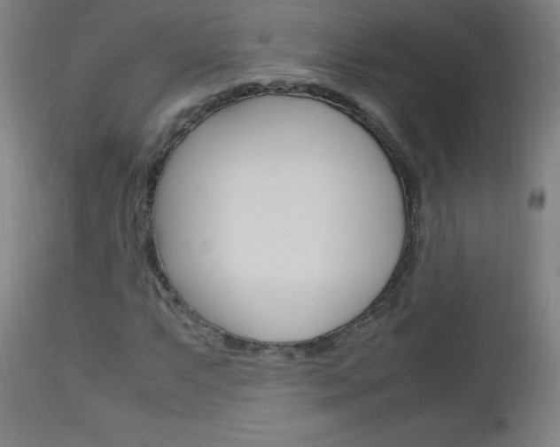 X0000112971063200908270938