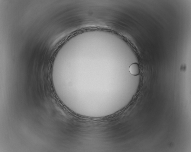 X0000112971064200908270938