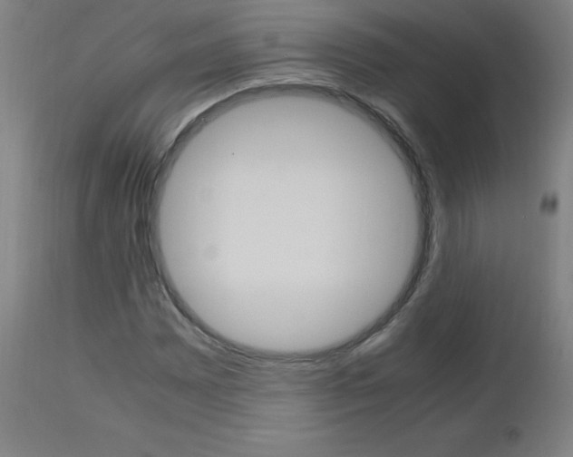 X0000112971065200908270938