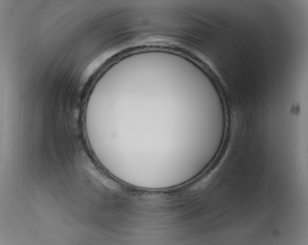 X0000112971066200908270938