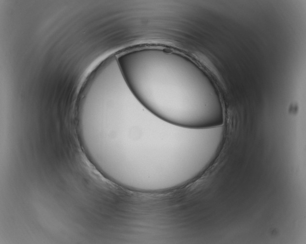 X0000112971068200908270938