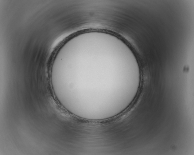 X0000112971070200908270938