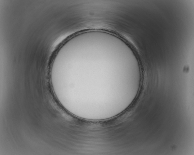 X0000112971071200908270938