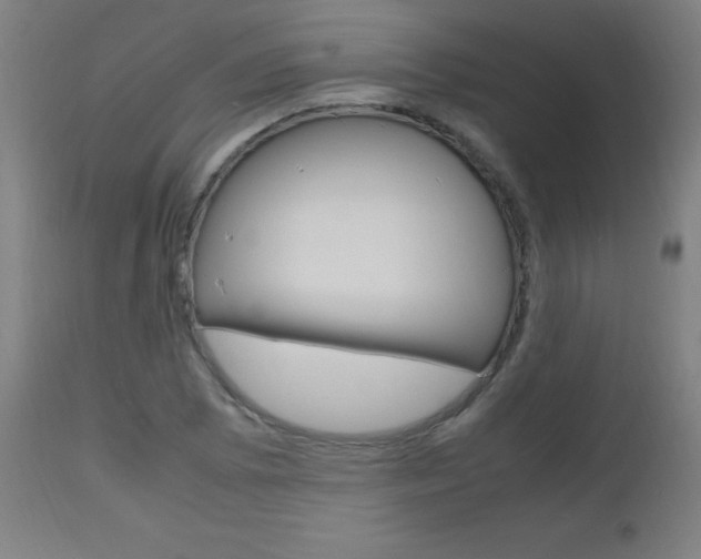 X0000112971073200908270938