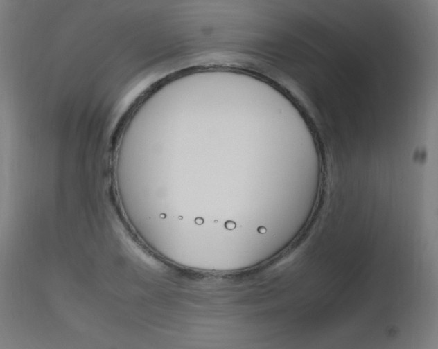 X0000112971075200908270937