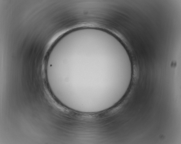 X0000112971078200908270937