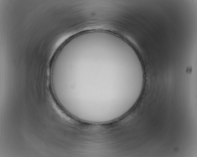 X0000112971079200908270937