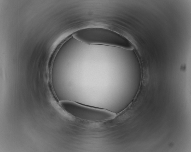 X0000112971080200908270937