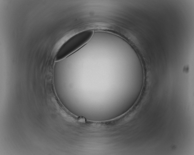 X0000112971081200908270937
