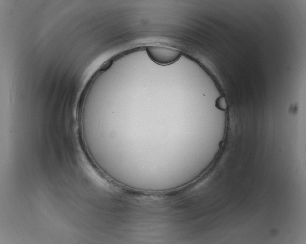 X0000112971082200908270937
