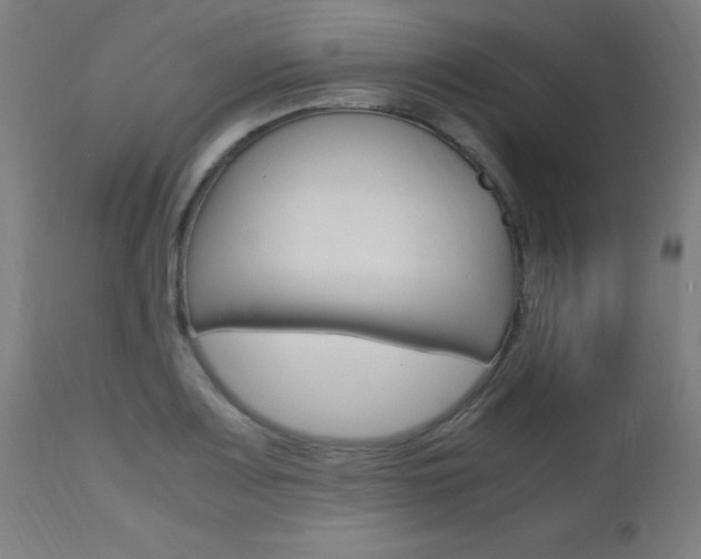 X0000112971083200908270937