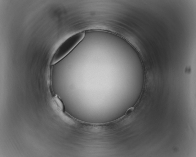 X0000112971084200908270937