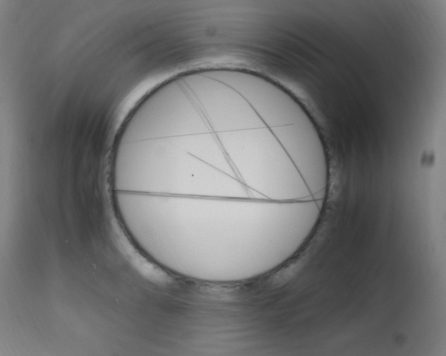 X0000112971086200908270937
