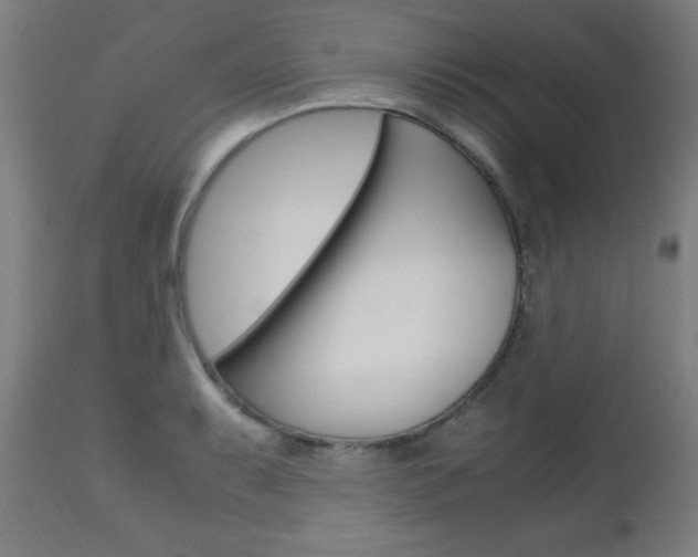 X0000112971087200908270937