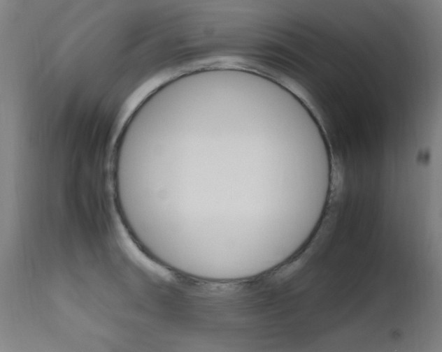X0000112971090200908270937