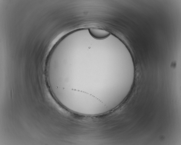 X0000112971091200908270937