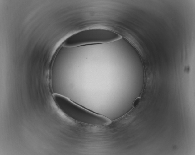 X0000112971092200908270937