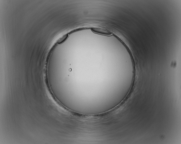 X0000112971093200908270937