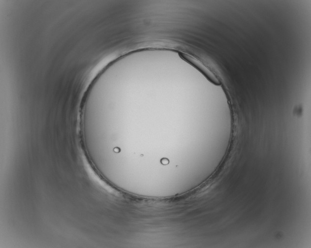 X0000112971095200908270937