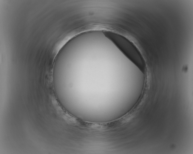 X0000112971097200908270937