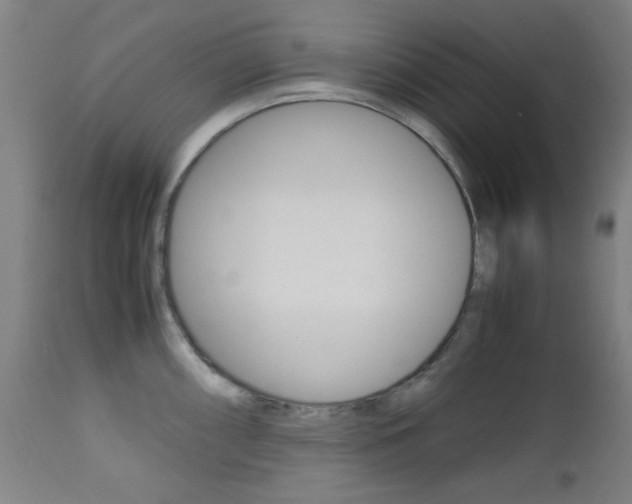 X0000112971098200908270937