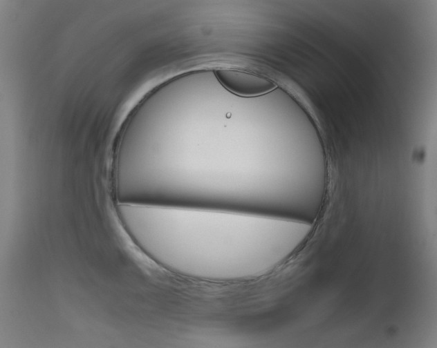 X0000112971099200908270937