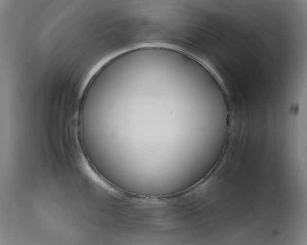 X0000112971100200908270937
